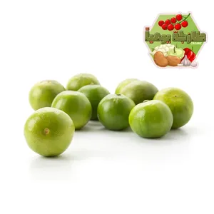 ليمون بن زهير شدة