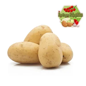 خيشة بطاطس صغير 1500 جرام
